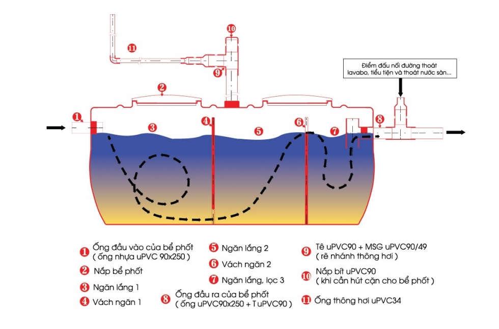 Sơ đồ hoạt động của bể tự hoại 1600 lít