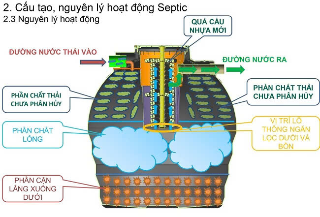 so sánh bồn tự hoại 500L và 1000L
